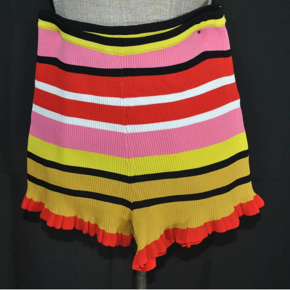 Zara Knit High Waist Multicolor Striped Short Shorts - S